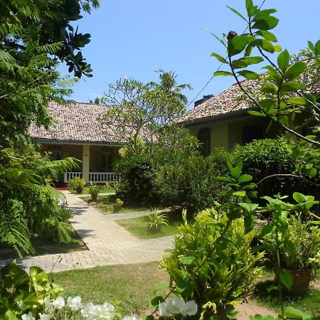 Top Of The Hill Guesthouse Велигама Экстерьер фото