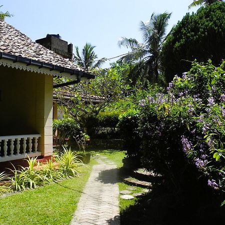 Top Of The Hill Guesthouse Велигама Экстерьер фото