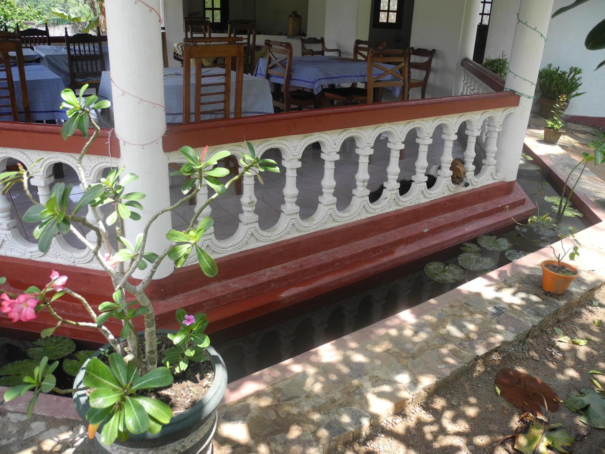 Top Of The Hill Guesthouse Велигама Экстерьер фото