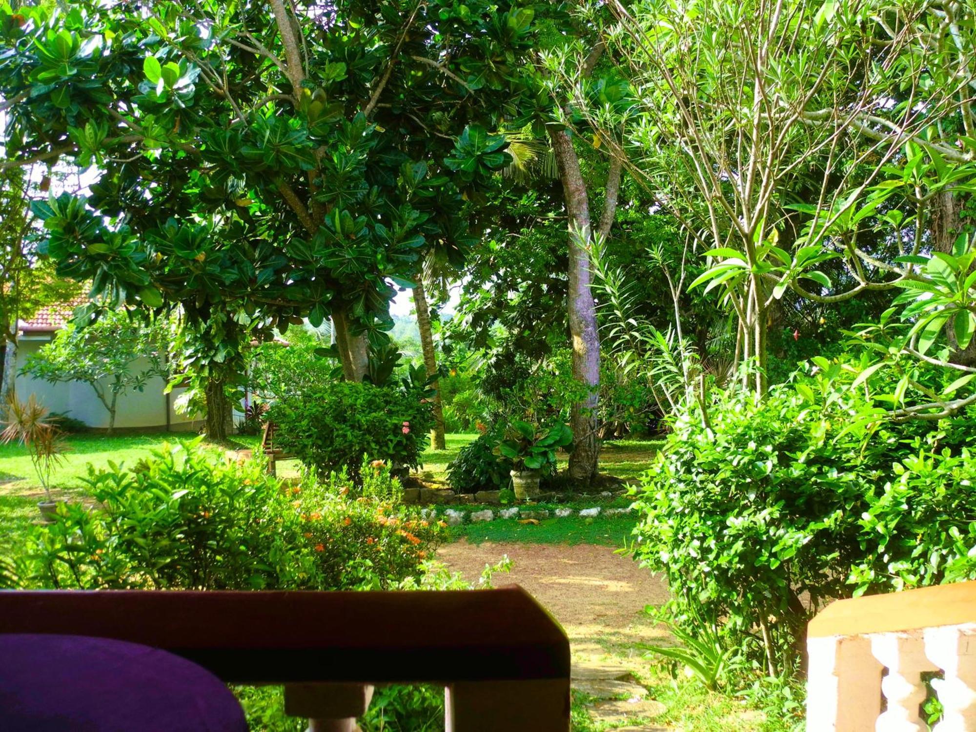 Top Of The Hill Guesthouse Велигама Номер фото